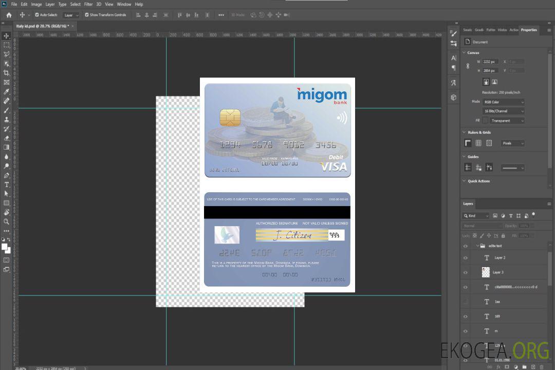 Carte de débit visa Dominique Migom Bank template